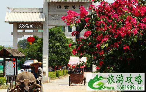 2022南宁十大旅游景点推荐 南宁必去的景点有哪些 2022南宁十大旅游景点推荐 南宁必去的景点有哪些