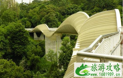抖音网红桥在哪里 全世界有哪些网红桥 抖音网红桥在哪里 全世界有哪些网红桥