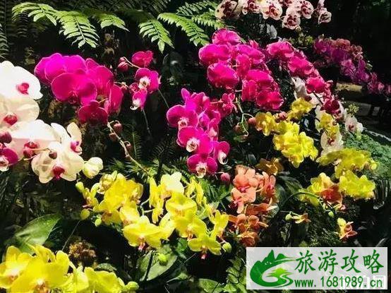 清迈亲子游攻略 美食+购物+行程安排 清迈亲子游攻略 美食+购物+行程安排