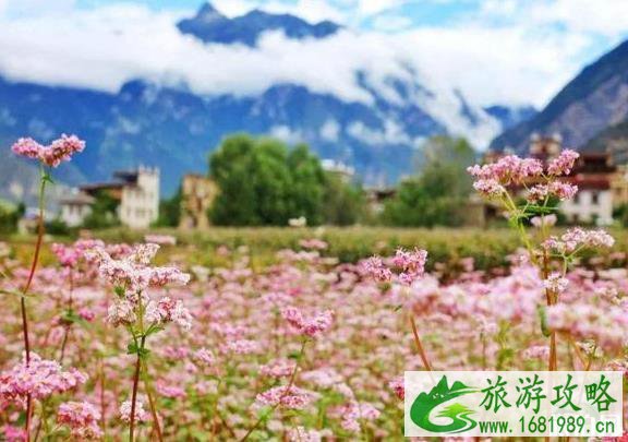 九月自驾旅游最佳好去处 九月自驾旅游最佳好去处