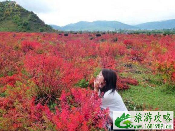 九月自驾旅游最佳好去处 九月自驾旅游最佳好去处