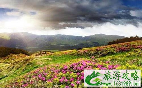 通化各旅游景区门票多少钱 通化各旅游景区门票多少钱
