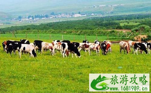 呼伦贝尔草原旅游自由行六日路线推荐