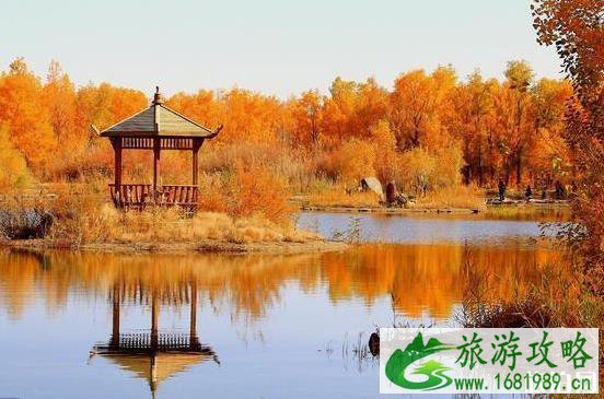 金塔胡杨林游览时间 金塔沙漠胡杨林景区门票多少钱 金塔胡杨林游览时间 金塔沙漠胡杨林景区门票多少钱