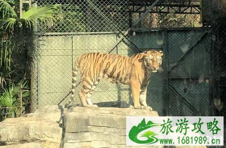 深圳哪些景点生日当天有优惠 深圳生日免费或半价的景点有哪些 深圳哪些景点生日当天有优惠 深圳生日免费或半价的景点有哪些
