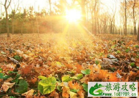 四明山有什么好玩的 四明山游玩线路介绍