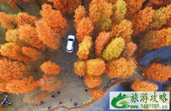 四明山有什么好玩的 四明山游玩线路介绍