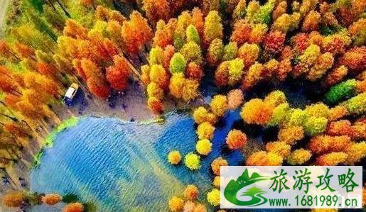 四明山有什么好玩的 四明山游玩线路介绍 四明山有什么好玩的 四明山游玩线路介绍