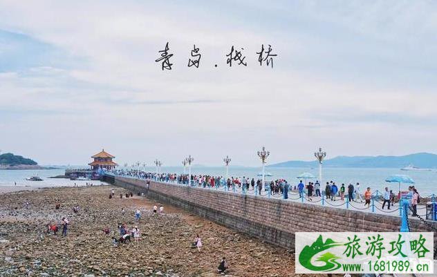 青岛旅游住哪里好 青岛旅游住宿推荐 青岛旅游住哪里好 青岛旅游住宿推荐
