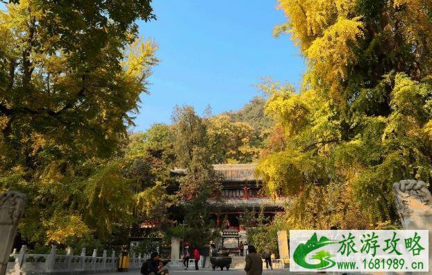 潭柘寺门票多少钱+优惠政策 潭柘寺门票多少钱+优惠政策