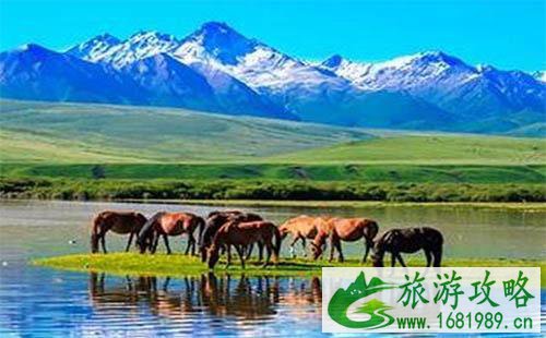 山丹军马场在哪 山丹军马场为什么知名度不高 山丹军马场在哪 山丹军马场为什么知名度不高