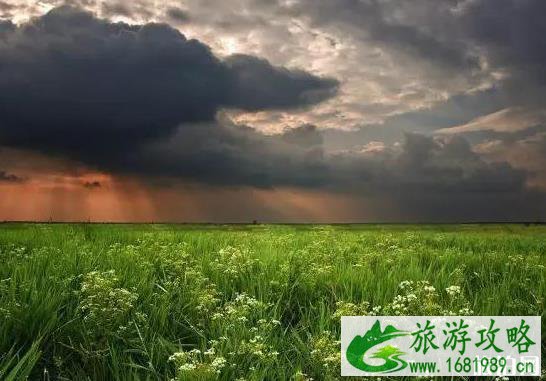 初秋的草原哪些好玩 初秋的草原哪些好玩