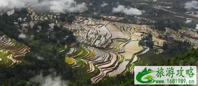 重庆周边有哪些好玩的地方值得一游 重庆周边有哪些好玩的地方值得一游