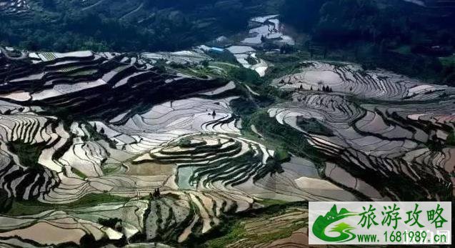 重庆周边有哪些好玩的地方值得一游 重庆周边有哪些好玩的地方值得一游
