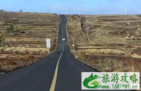 带狗旅行的地方 4天游玩行程安排 
