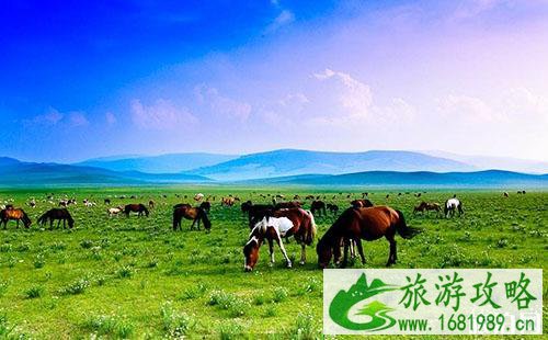 去草原玩要注意什么 去草原玩要准备什么