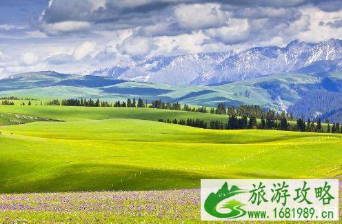 去草原玩要注意什么 去草原玩要准备什么