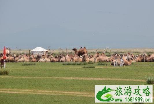 克旗和乌兰布统行程安排 克旗和乌兰布统行程安排