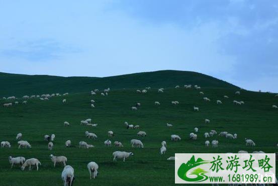 克旗和乌兰布统行程安排 克旗和乌兰布统行程安排