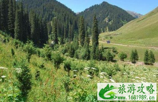 资溪旅游景点大全 资溪旅游景点大全