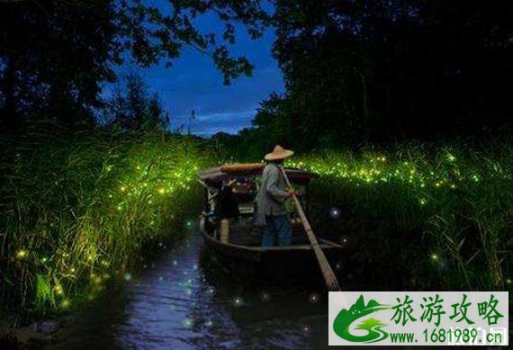 杭州西溪湿地摇橹船多少钱 西溪湿地摇橹船攻略 杭州西溪湿地摇橹船多少钱 西溪湿地摇橹船攻略