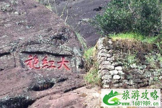 中国有什么奇怪的树 中国有什么奇怪的树