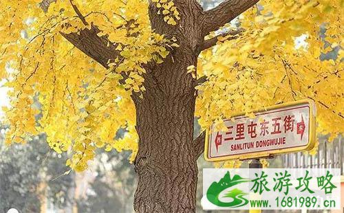 北京赏秋好去处 北京周边赏秋之地推荐 北京赏秋好去处 北京周边赏秋之地推荐