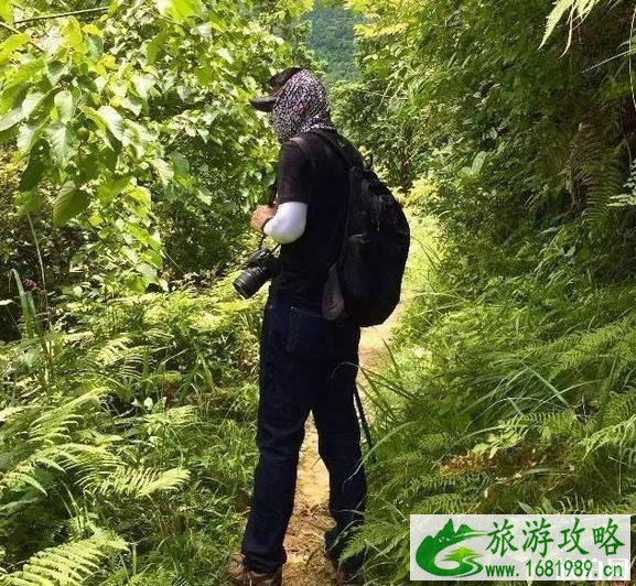 黔东南苗寨游玩线路推荐 黔东南苗寨游玩线路推荐