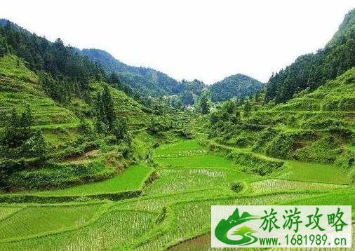 黔东南苗寨游玩线路推荐 黔东南苗寨游玩线路推荐