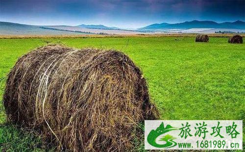 2022呼伦贝尔旅游攻略9月 呼伦贝尔旅游路线+费用