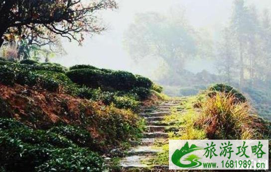 徽州古道徒步线路推荐 徽州古道徒步线路推荐