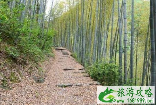 徽州古道徒步线路推荐 徽州古道徒步线路推荐