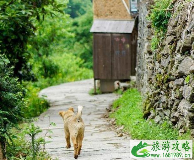 歙县阳产土楼要门票吗 土楼介绍 歙县阳产土楼要门票吗 土楼介绍