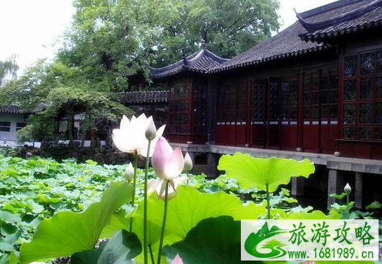 上海周边二日游旅游景点推荐
