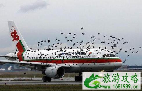 盘点全球最容易延误航班的机场 转乘飞机窍门 盘点全球最容易延误航班的机场 转乘飞机窍门