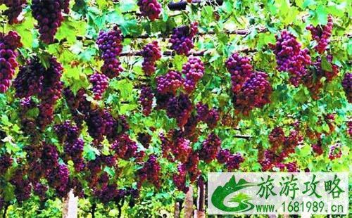 最适合疗养的地方 疗养景区介绍