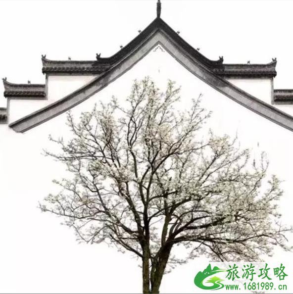 中国古建筑摄影大赛获奖作品 中国古建筑摄影大赛获奖作品