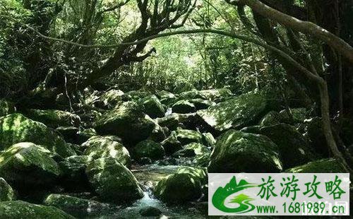 一出好戏的取景地在哪里 一出好戏的小岛可以去旅游吗 一出好戏的取景地在哪里 一出好戏的小岛可以去旅游吗