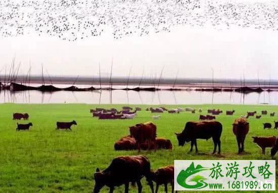 湖南平江有什么好玩的