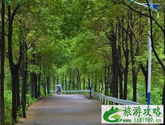 湖南平江有什么好玩的
