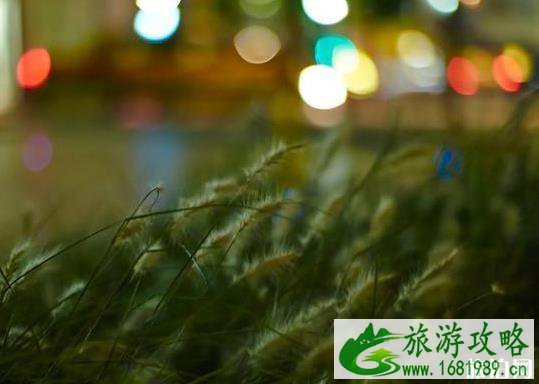 走出徕卡镜头的误区 走出徕卡镜头的误区