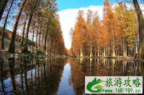 中山大南农业生态岛游玩攻略2022 中山大南农业生态岛游玩攻略2022