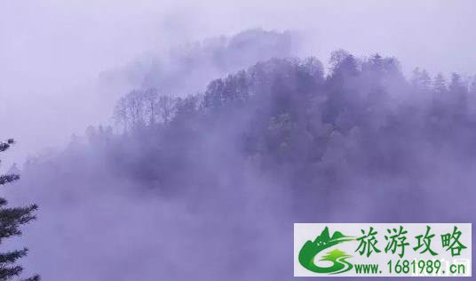 四川巴东峡谷游玩 地址+游玩线路