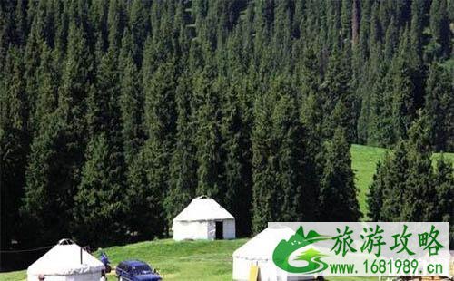 太原到新疆自驾游旅游攻略