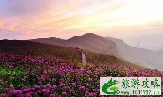 贵州有哪些避暑的地方 贵州避暑哪里好 贵州有哪些避暑的地方 贵州避暑哪里好