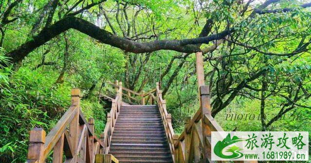 梵净山是世界遗产吗 梵净山是世界自然遗产 梵净山是世界遗产吗 梵净山是世界自然遗产