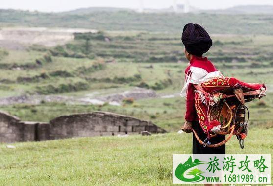 贵州有哪些避暑的地方 贵州避暑哪里好 贵州有哪些避暑的地方 贵州避暑哪里好