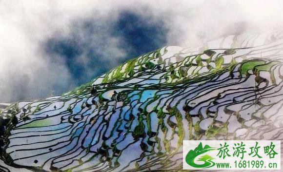 2022年贵州景区优惠对象 2022年贵州景区优惠对象