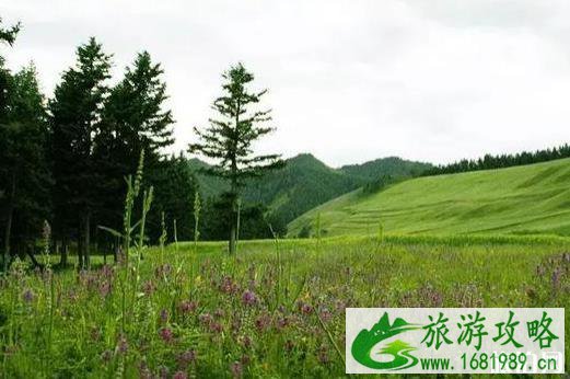 河西走廊怎么玩 线路+游玩时间 河西走廊怎么玩 线路+游玩时间
