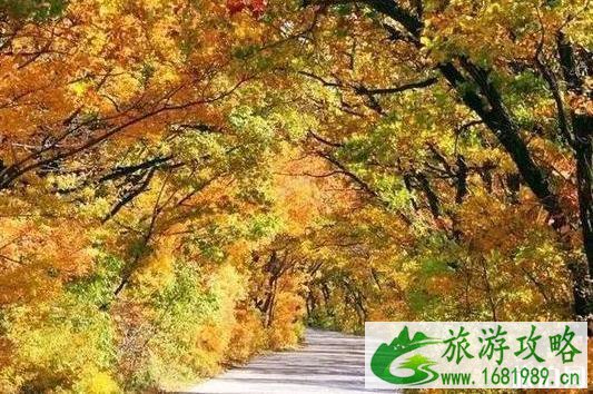 环湖公路有哪些 最美的环湖公路是哪一个